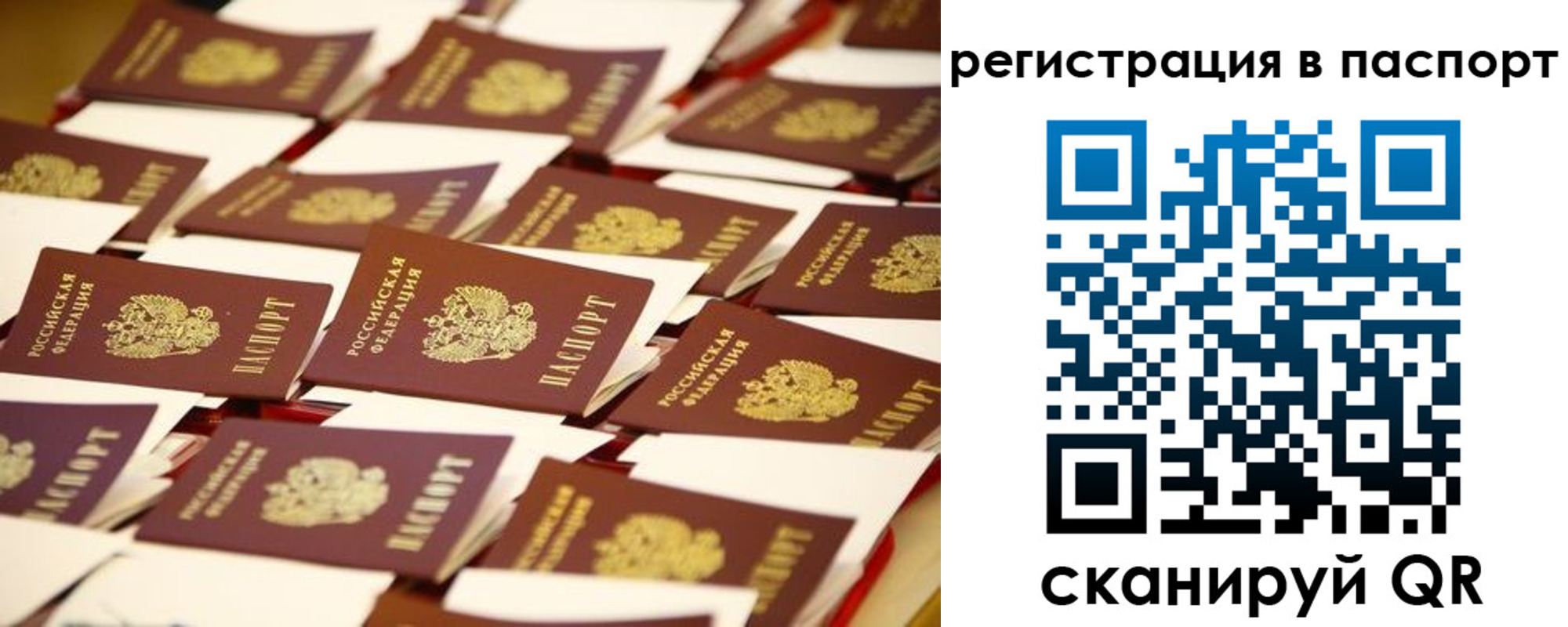 прописка гарантия в Углегорске